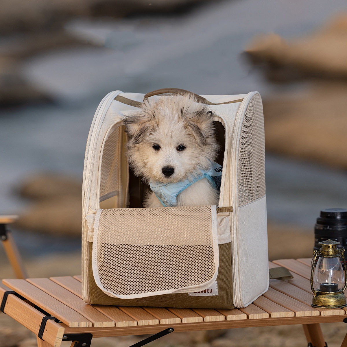 Pet Carrier Backpack Breathabl - Foldable Backpack Small ulasan dan harga