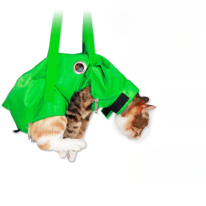 Portable Cat Backpack Pet Summ - Foldable Backpack Small ulasan dan harga
