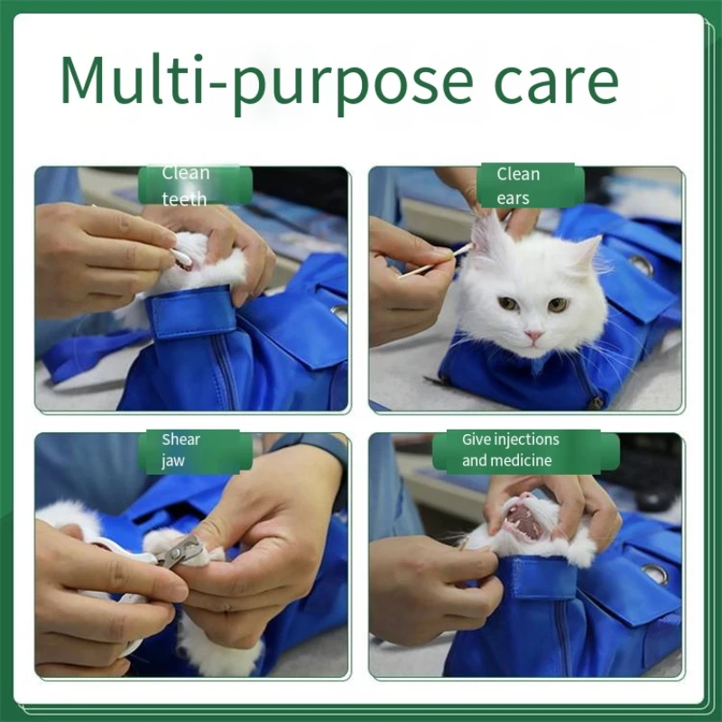 Portable Cat Backpack Pet Summ - Foldable Backpack Small ulasan dan harga